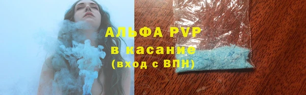прущие грибы Алзамай