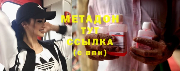 прущие грибы Алзамай