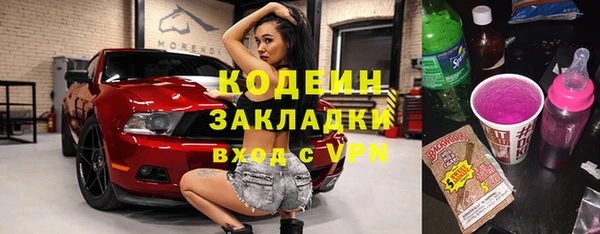 прущие грибы Алзамай