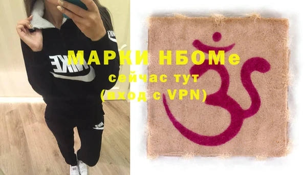 прущие грибы Алзамай